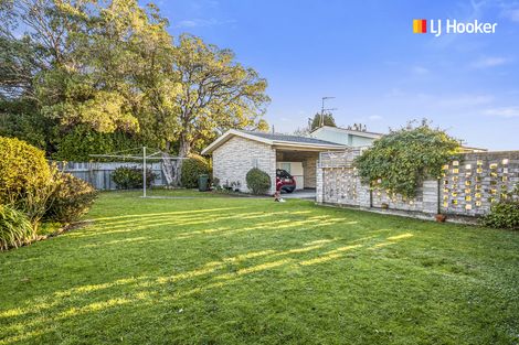 Photo of property in 64 Hunt Street, Andersons Bay, Dunedin, 9013