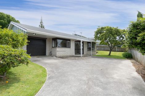 Photo of property in 125 Winchester Street, Levin, 5510