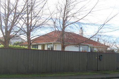 Photo of property in 506 Hinau Street, Mahora, Hastings, 4120