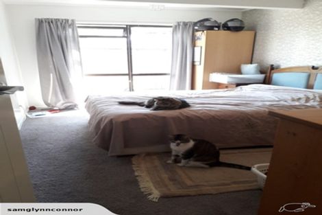 Photo of property in 64a Shelley Street, Leamington, Cambridge, 3432