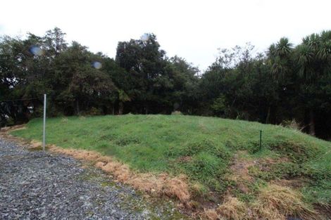 Photo of property in 24 Nyhon Place, Haast, 7886