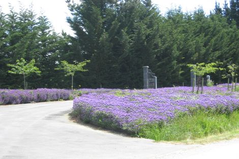 Photo of property in Li200b, 50 Terrace Road, Leithfield, Amberley, 7481