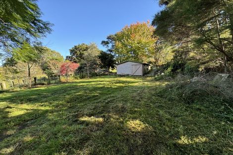 Photo of property in 11 Mangotahi Road, Thames, 3577