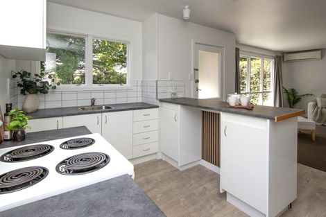 Photo of property in 21 Severn Street, St Albans, Christchurch, 8014