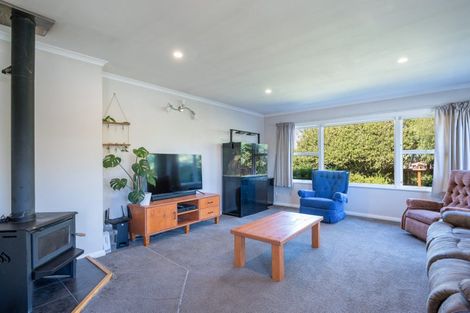 Photo of property in 35 Doran Street, Richmond, 7020