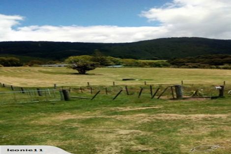 Photo of property in 986 Whangaripo Valley Road, Whangaripo, Wellsford, 0972