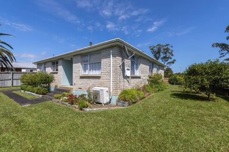 Photo of property in 59 Rosser Street, Huntly, 3700