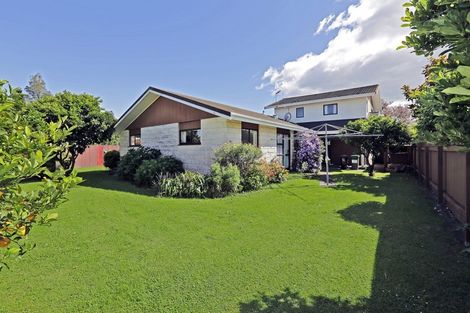 Photo of property in 434 Hemi Street, Raureka, Hastings, 4120