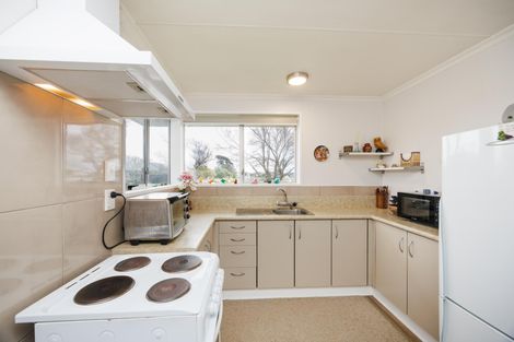 Photo of property in 153a Ruahine Street, Roslyn, Palmerston North, 4414