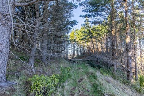 Photo of property in 1165c Cooks Tooth Road, Porangahau, 4293