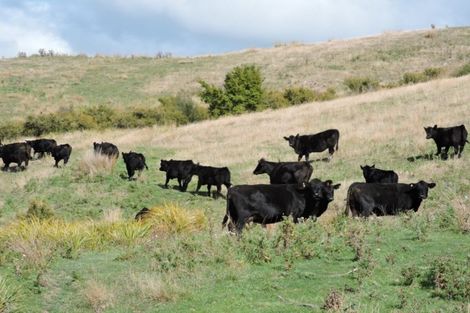 Photo of property in 1375 Wimbledon Road, Porangahau, 4292