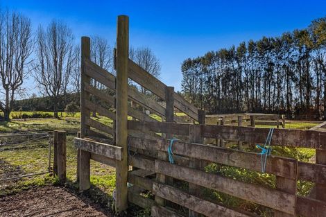 Photo of property in 24 Willow Lane, Edgecumbe, Whakatane, 3192