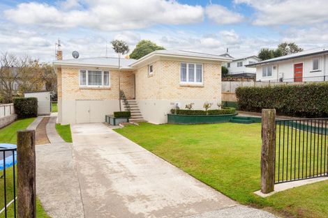 Photo of property in 28 Station Street, Tirau, 3410