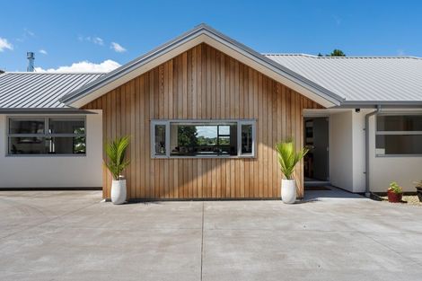 Photo of property in 55b Paynters Avenue, Strandon, New Plymouth, 4312