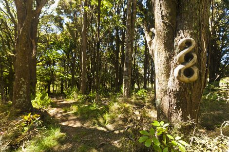 Photo of property in 768 Owhiwa Road, Parua Bay, Onerahi, 0192