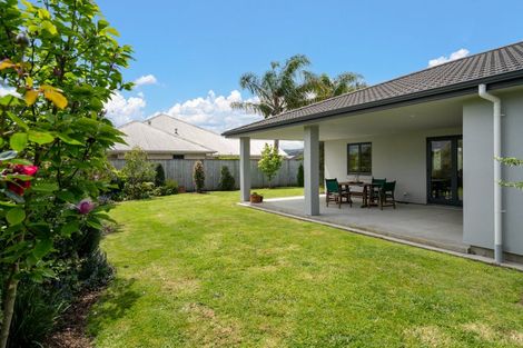 Photo of property in 4 Libby Crescent, Cambridge, 3434