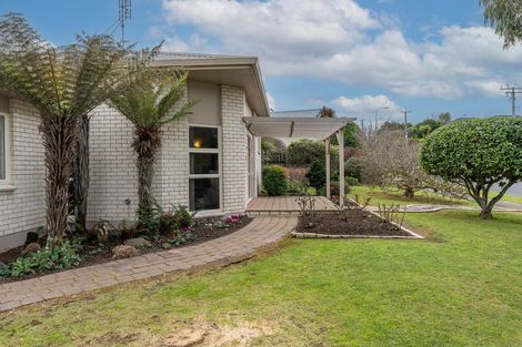 Photo of property in 53 Splitt Avenue, Glenview, Hamilton, 3206