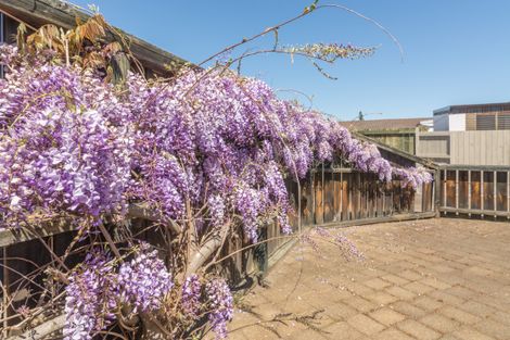 Photo of property in 10a Holland Street, Glenholme, Rotorua, 3010