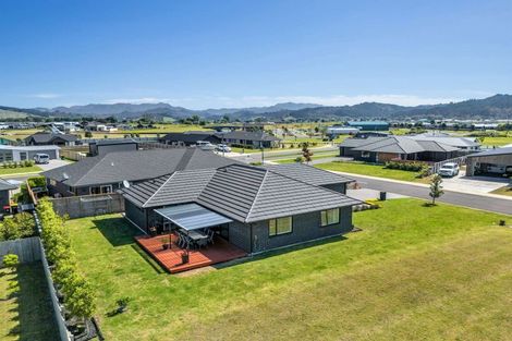 Photo of property in 4 Ronomor Place, Whitianga, 3510