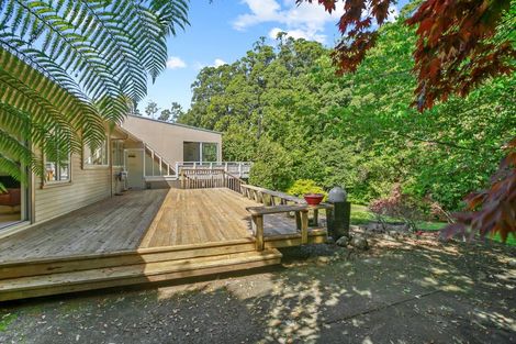 Photo of property in 4 Elizabeth Place, Ferndale, New Plymouth, 4310