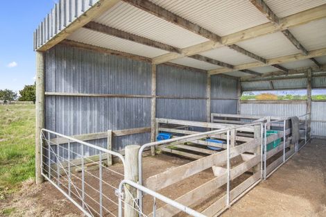 Photo of property in 63 Waipipi Wharf Road, Pollok, Waiuku, 2683