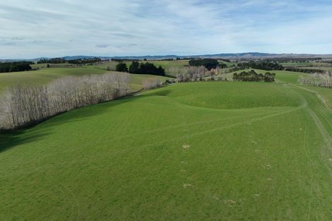 Photo of property in 41 Gray Road, Waitepeka, Balclutha, 9271