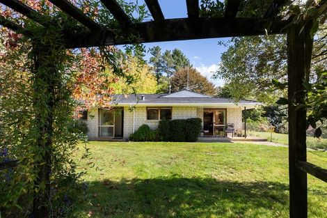 Photo of property in 233b Oropi Gorge Road, Oropi, Tauranga, 3173