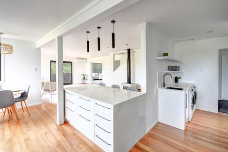 Photo of property in 170 Somerville Street, Waverley, Dunedin, 9013