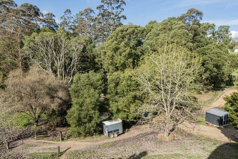 Photo of property in 307 Whananaki North Road, Opuawhanga, Hikurangi, 0181