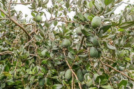 Photo of property in 103 James Cook Street, Havelock North, 4130