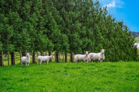 Photo of property in 1096 Egmont Road, Egmont Village, New Plymouth, 4372