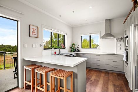 Photo of property in 233 Letts Gully Road, Letts Gully, Alexandra, 9393