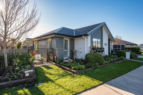 Photo of property in 41 Youngberry Drive, Richmond, 7020