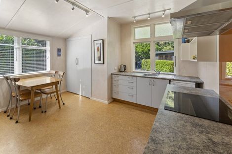 Photo of property in 19 Scotland Street, Nelson South, Nelson, 7010