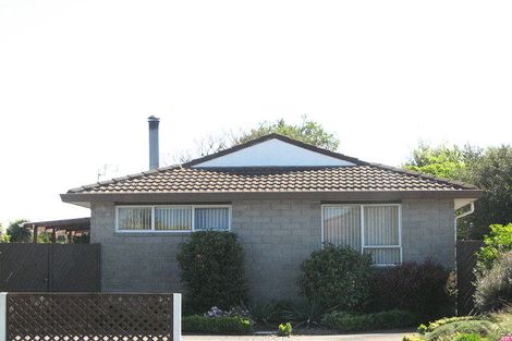 Photo of property in 61 Solomon Avenue, Redwood, Christchurch, 8051