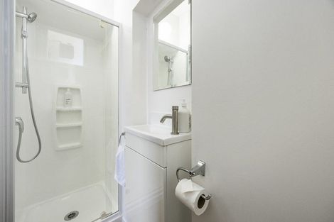 Photo of property in 4 Lawson Street, Roslyn, Dunedin, 9011