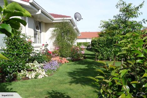 Photo of property in 5 Turnberry Close, Aongatete, Katikati, 3178