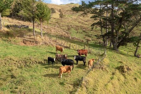 Photo of property in 184 Koutu Loop Road, Whirinaki, Kaikohe, 0473