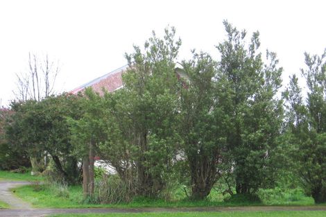 Photo of property in 34 Mabel Street, Levin, 5510