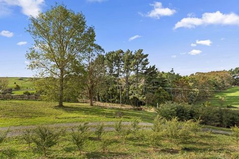 Photo of property in 24 Wrights Road, Raglan, 3295