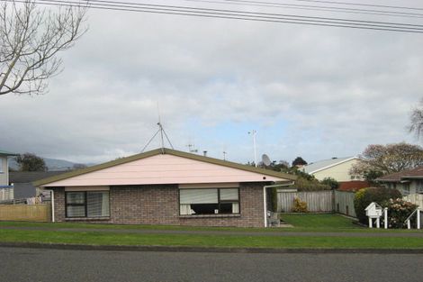 Photo of property in 6 Churchill Street, Levin, 5510