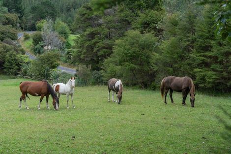 Photo of property in 896a Hikuai Settlement Road, Pauanui, Hikuai, 3579