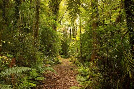 Photo of property in 828 Dover Road, Okato, New Plymouth, 4374