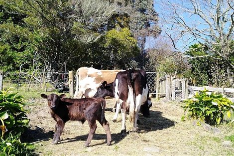 Photo of property in 599 Hill Street South, Hope, Richmond, 7081