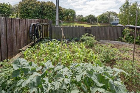 Photo of property in 8 Wrigley Street, Waihi, 3610
