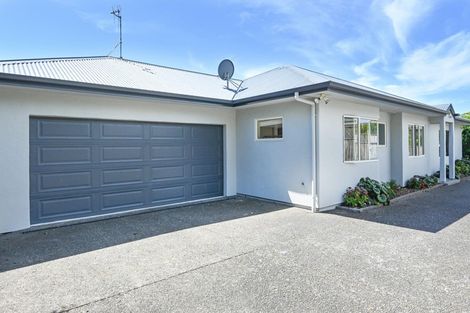 Photo of property in 19a Guthrie Road, Havelock North, 4130
