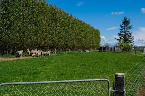 Photo of property in 656 Levels Plain Road, Kerrytown, Timaru, 7975