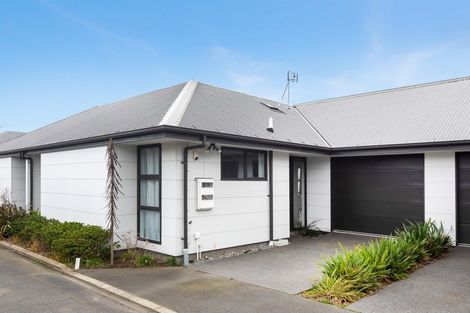 Photo of property in 29b Clarence Street South, Addington, Christchurch, 8024