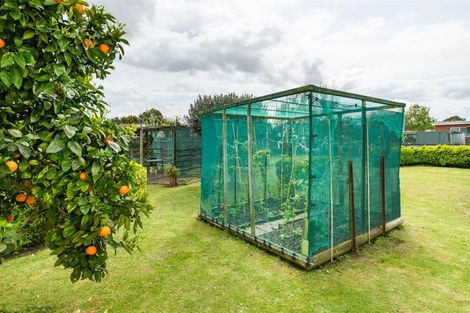 Photo of property in 201 Bridge Street, Bulls, 4818