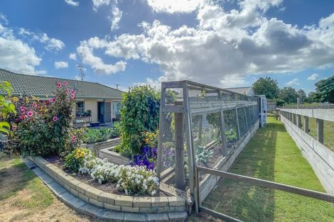 Photo of property in 24 Banks Road, Matamata, 3473